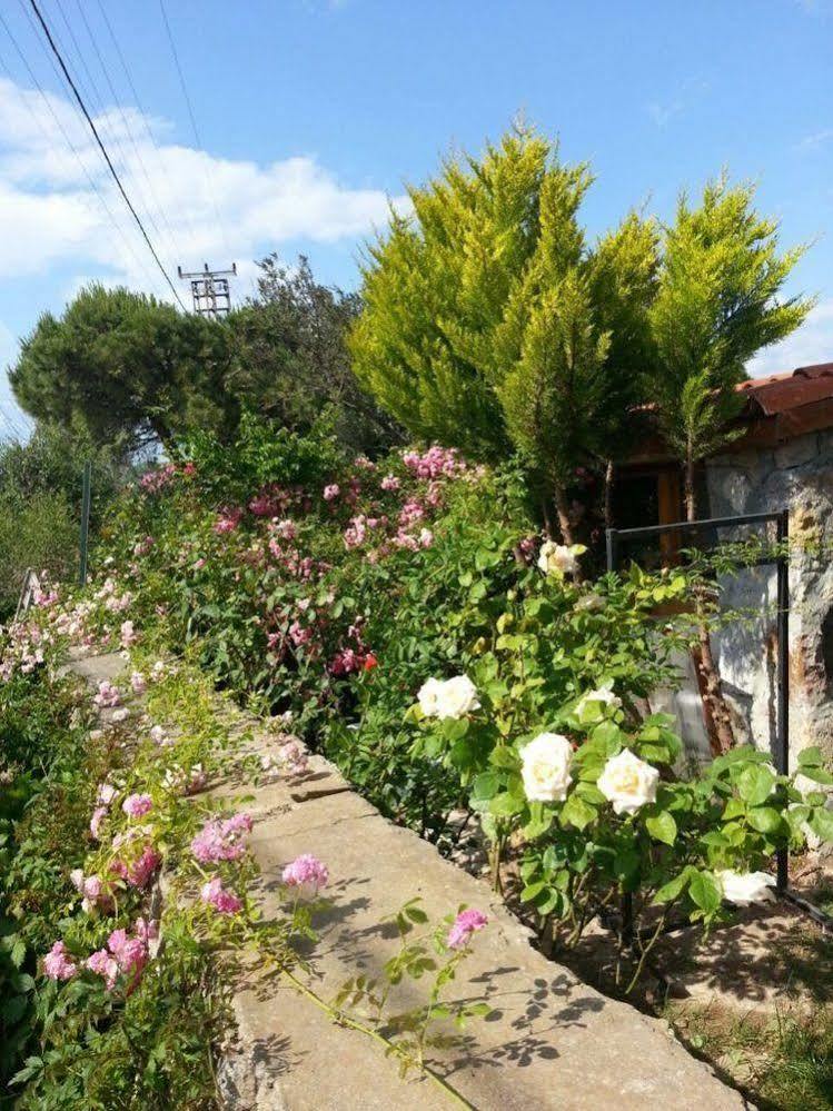 Hotel Nar Bagevi Bozcaada Exterior foto